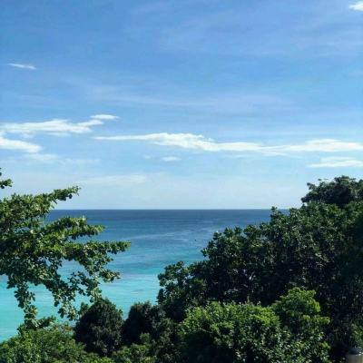 红手指黑松鼠辅助下载